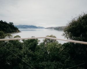 JDT - Ohinetahi