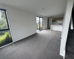Gibbon Street Developments (12)