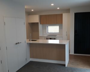 Gibbon Street Developments (17)