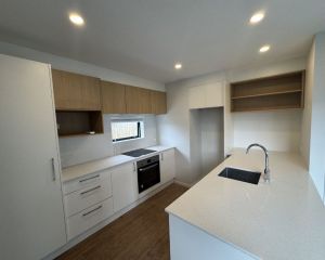 Gibbon Street Developments (7)